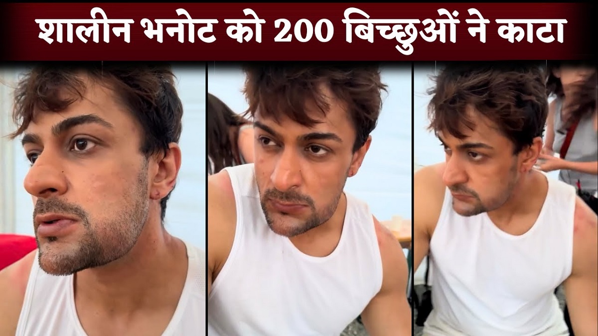 Khatron Ke Khiladi 14: रोहित शेट्टी ने खुलासा किया कि शालीन भनोट ने 200 बिच्छुओं द्वारा काटे जाने की फर्जी खबर फैलाई।