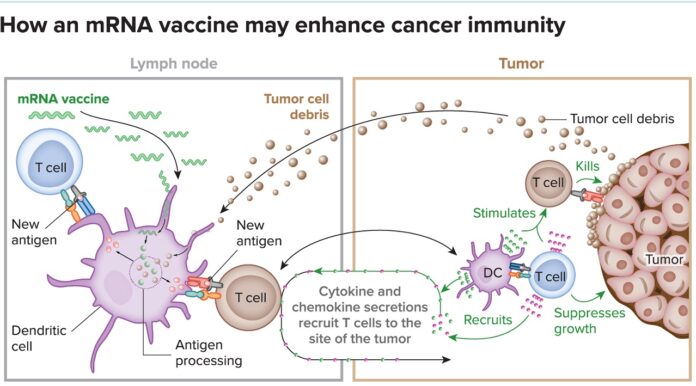 mRNA Cancer Vaccine