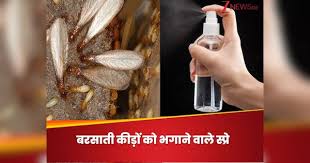 बारिश में कीड़ों से बचने के लिए घर में बनाएं स्प्रे